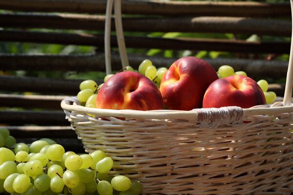 Panier de pommes et raisins