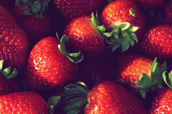 Macrofotografía. Foto de la dispersión de fresas maduras