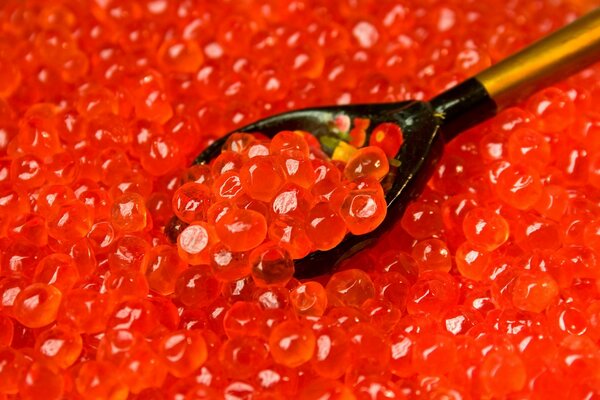 Cuillère de caviar de saumon rouge