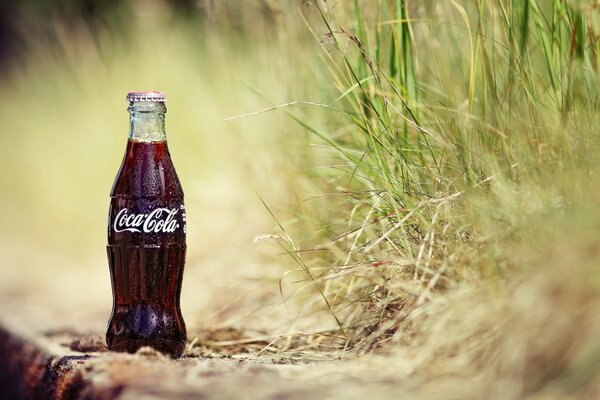 Foto macro di una bottiglia di Coca Cola in erba