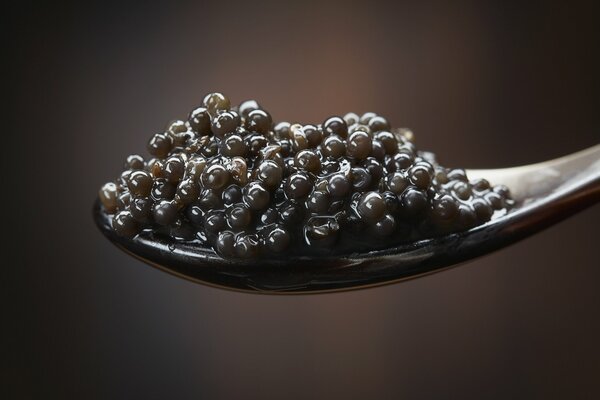 Cuillère de caviar noir