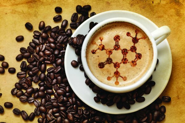 Toute l étendue de la saveur dans les grains de café