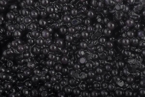 Delizioso caviale nero sciolto a schermo intero