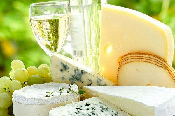 Różne sery i wino w kieliszkach biały ser pleśniowy