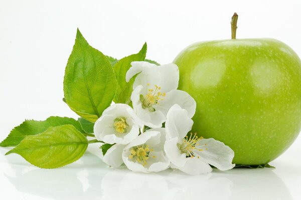 Grüner Apfel mit Blättern und Blüten