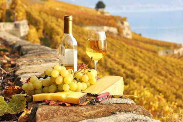 Imagen de comida y vino en la naturaleza