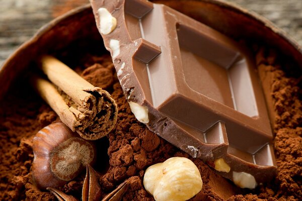 Fotografía en tonos chocolate: chocolate, canela, nueces y anís sobre un fondo de cacao