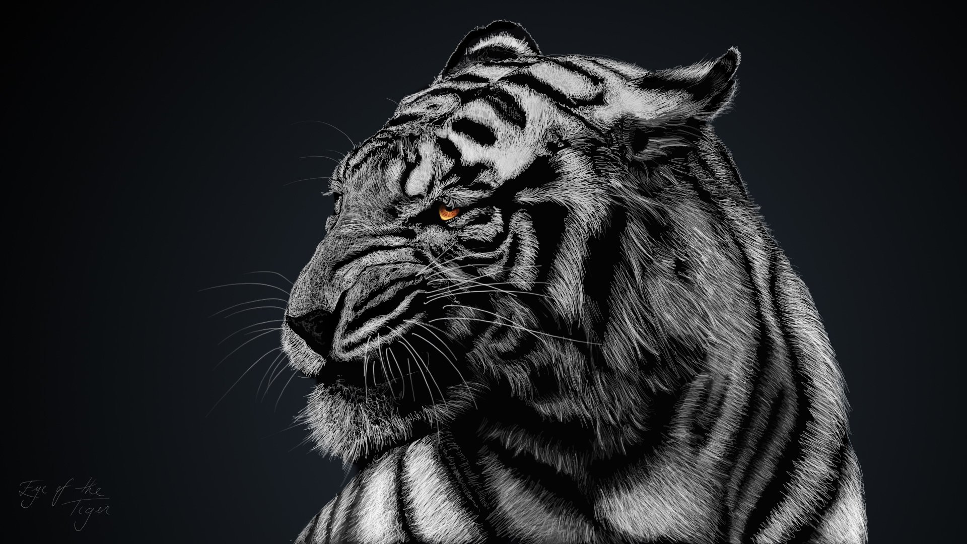 white tiger black background black and white