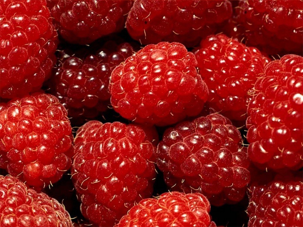 gros plan baies framboises