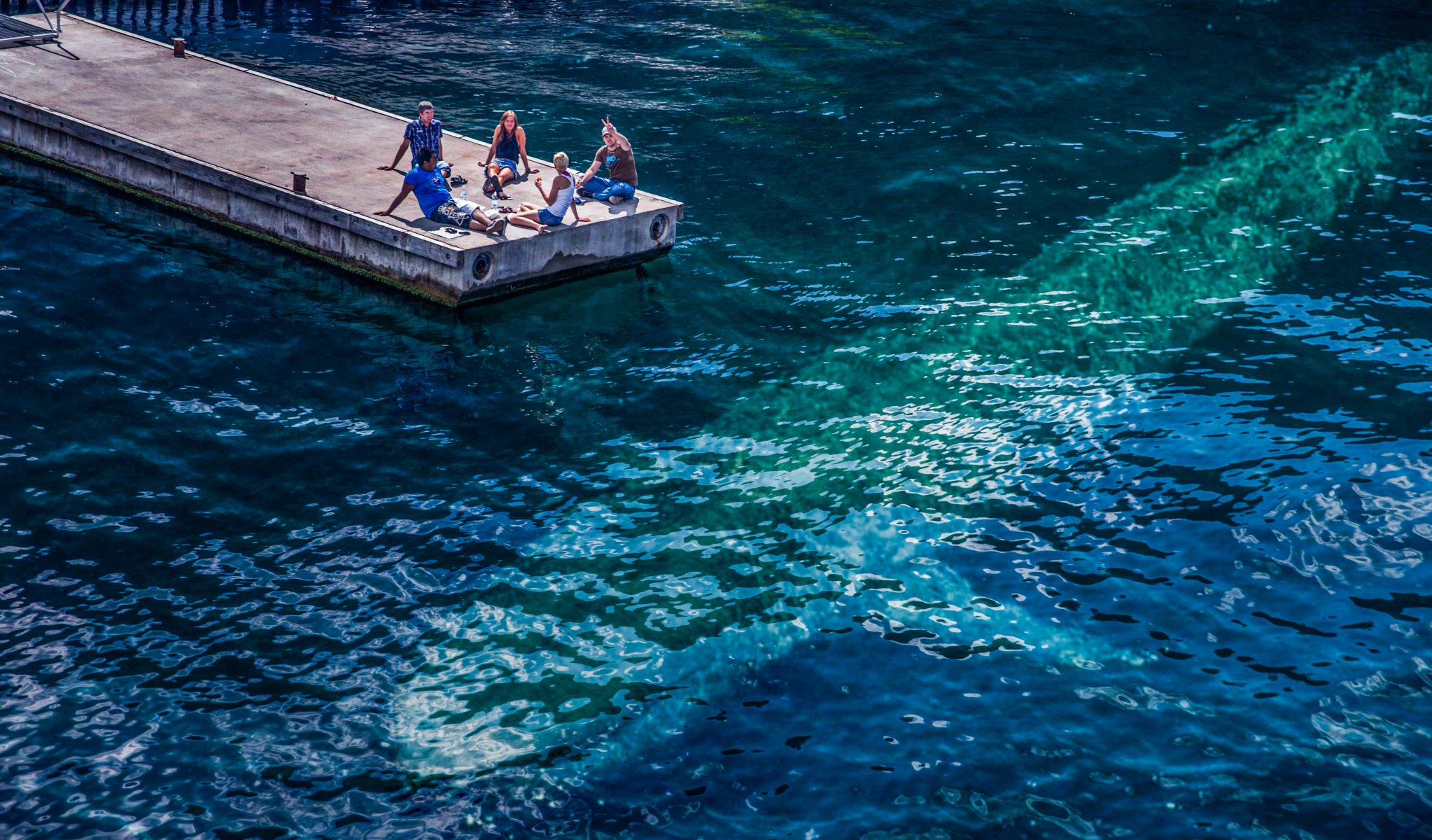 fotógrafo andrés nieto porras foto pez ballena silueta marino habitante agua gente muelle