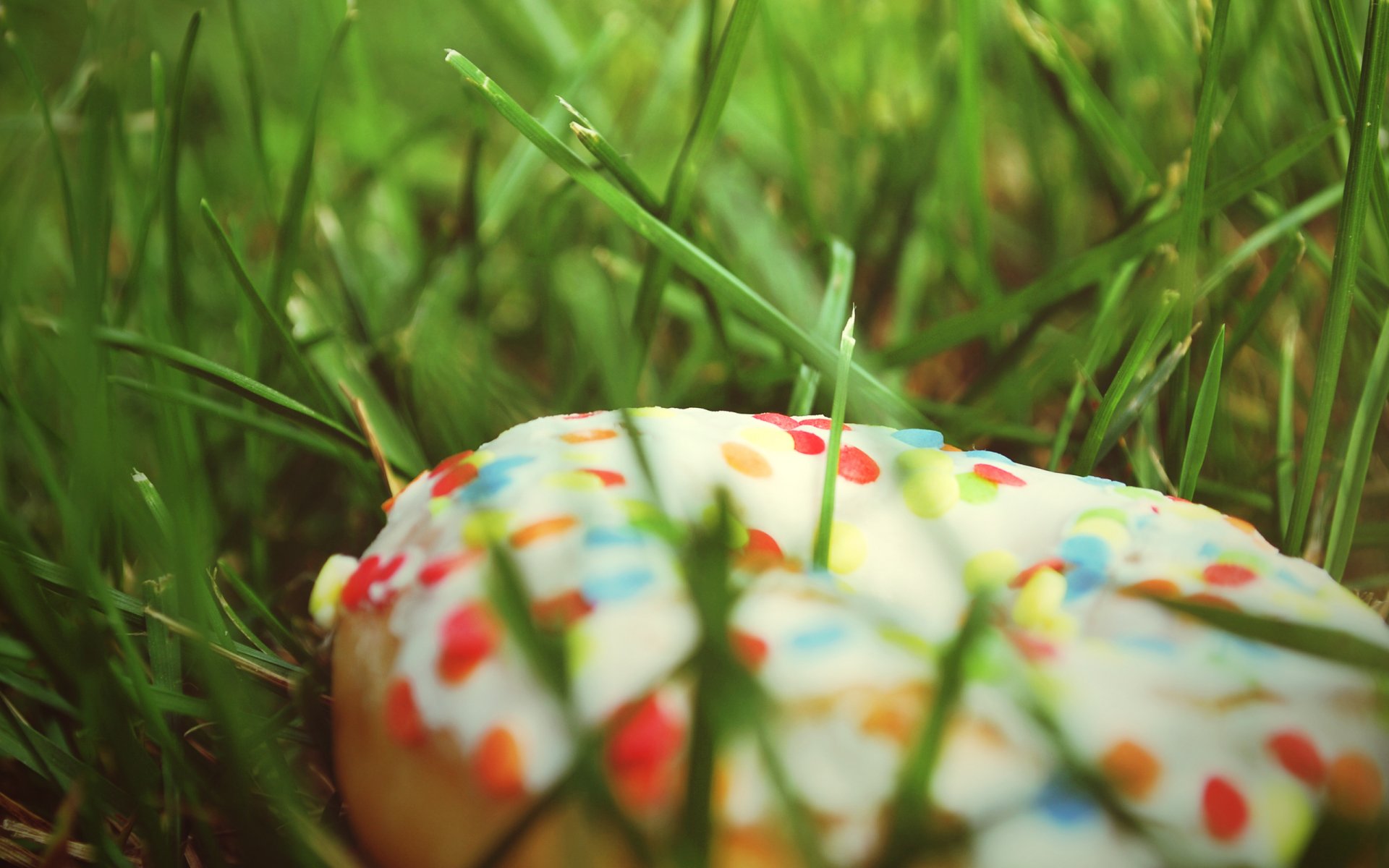 gras donut essen