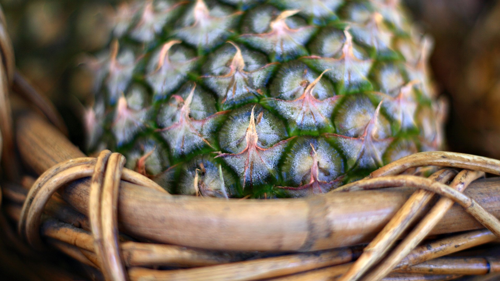 ananas kosz makro