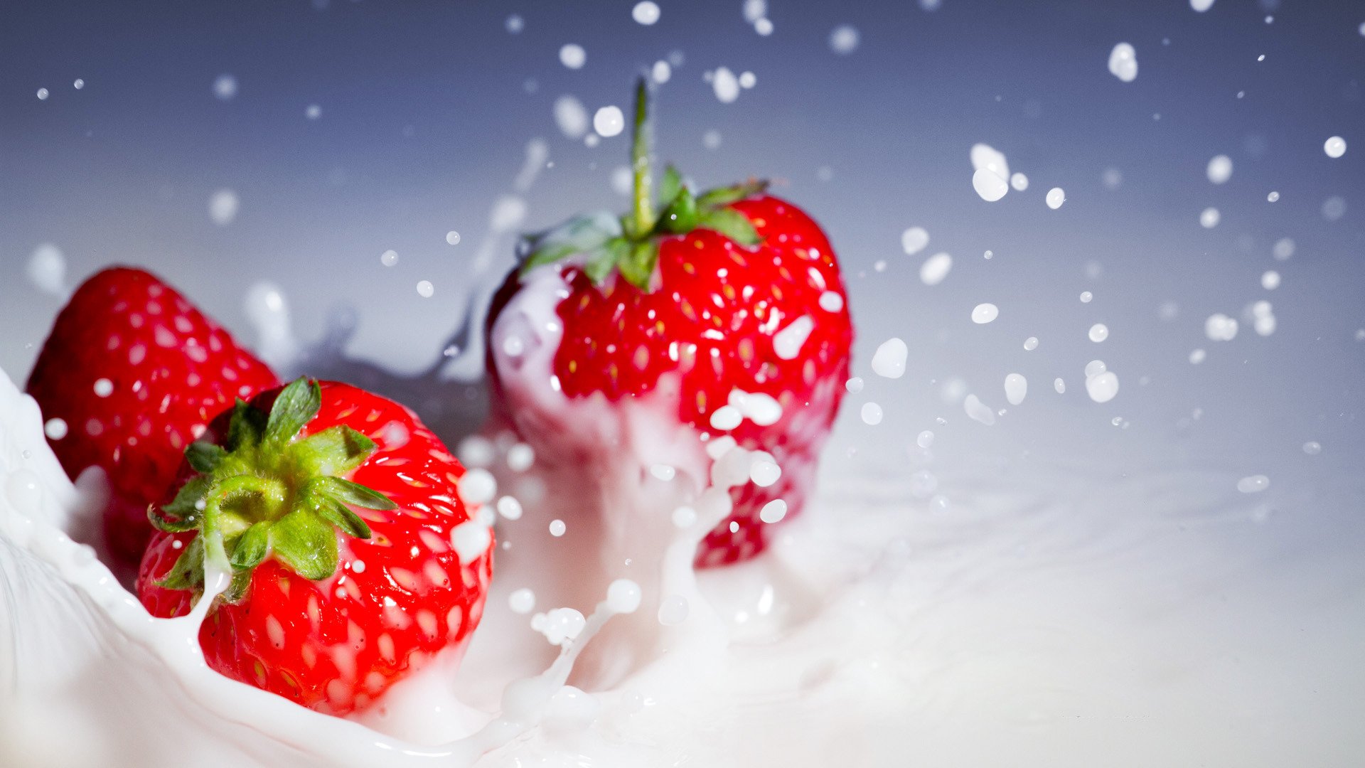 gros plan fraise crème éclaboussures