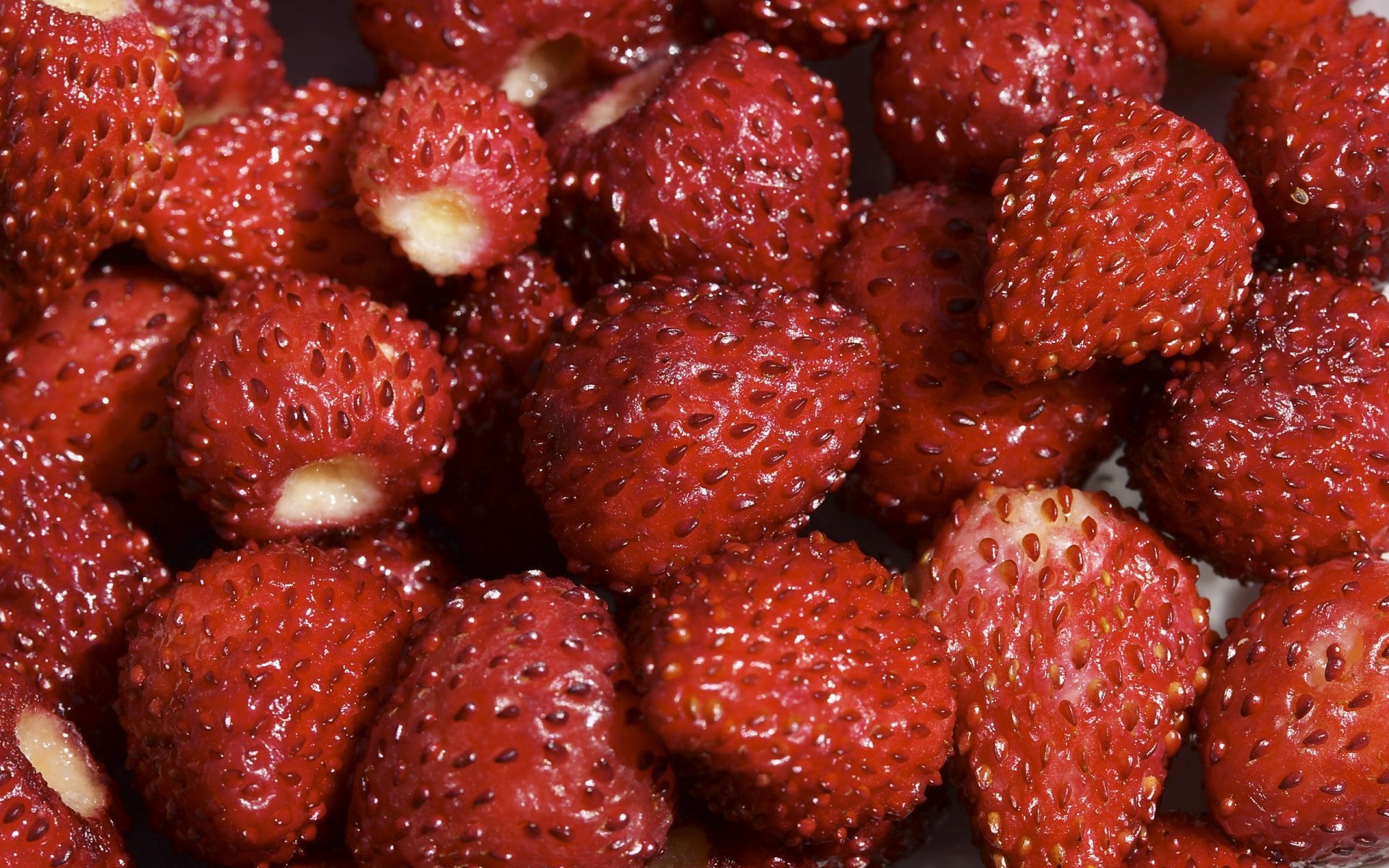 fraises baies rouge