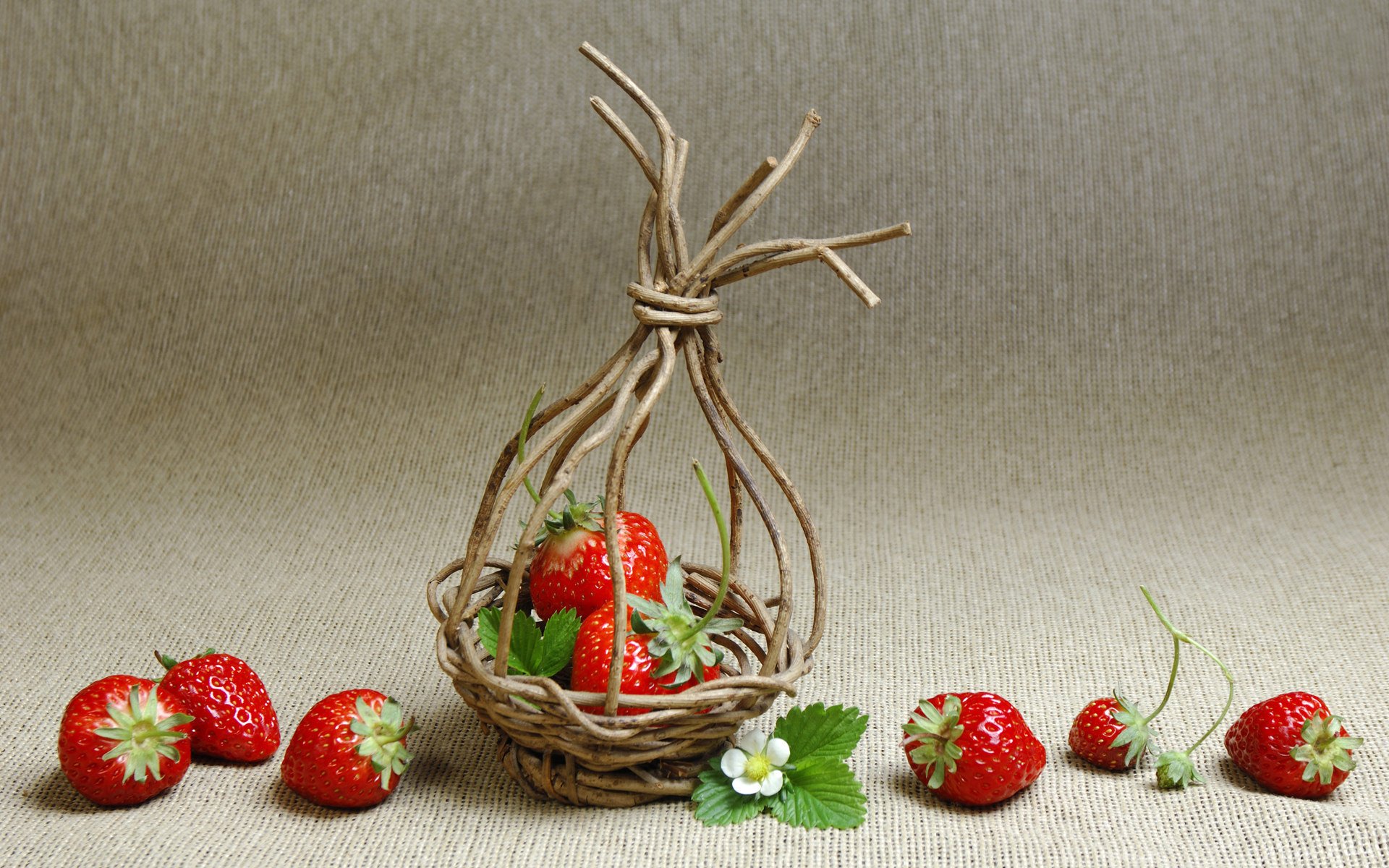 fraise panier de branches