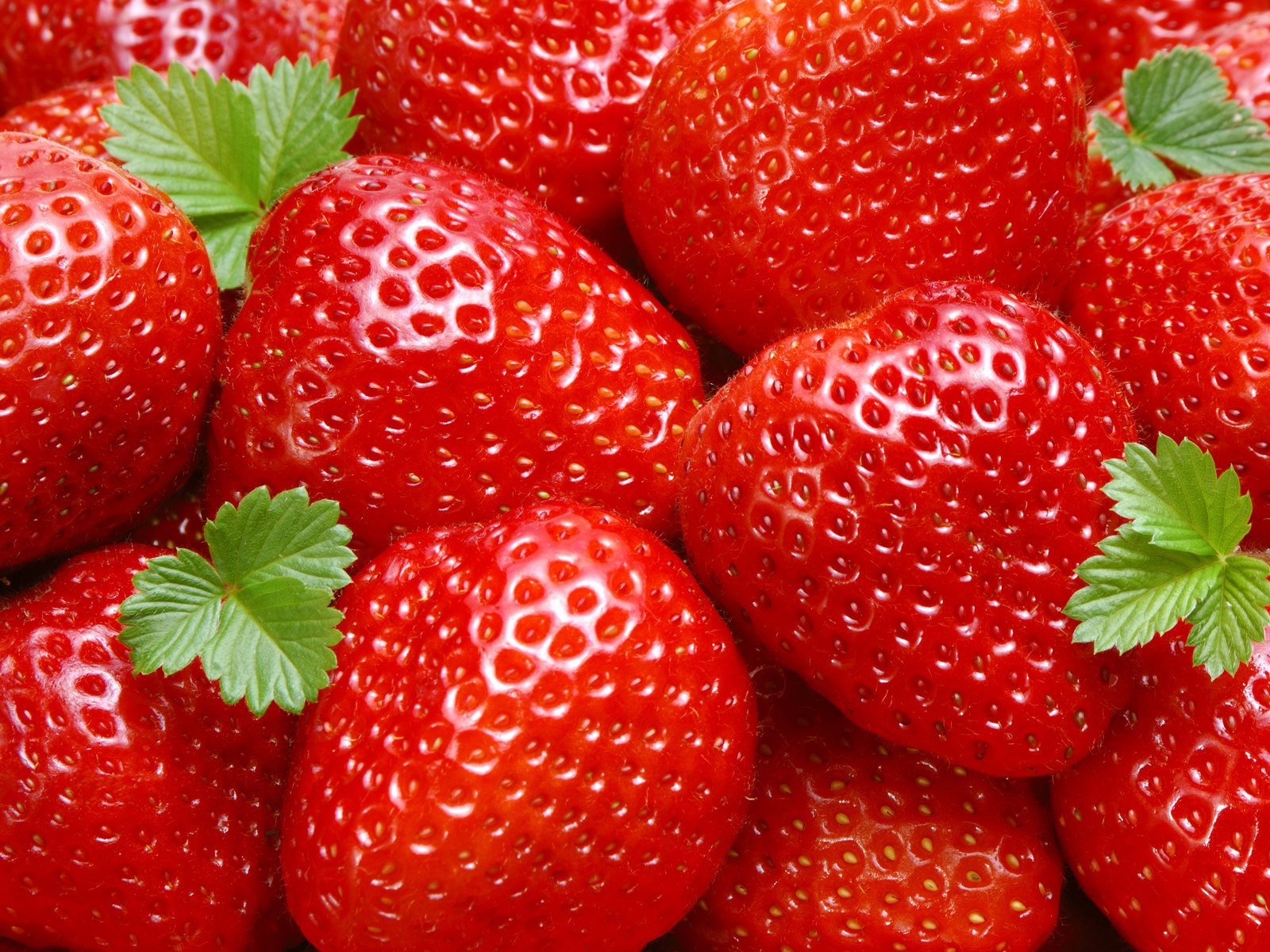 fragole bacche cibo