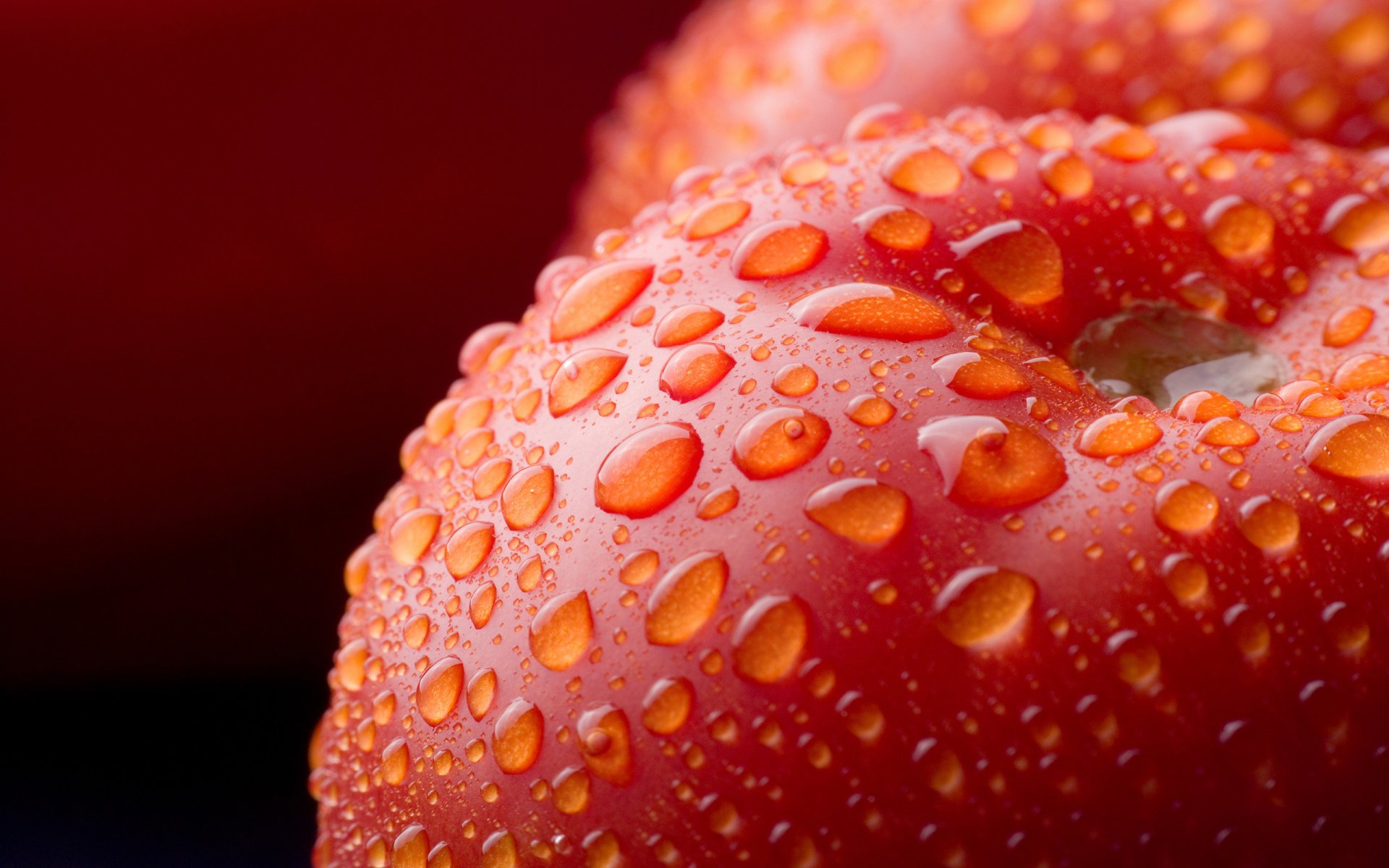 macro tomates verduras gotas frutas macro