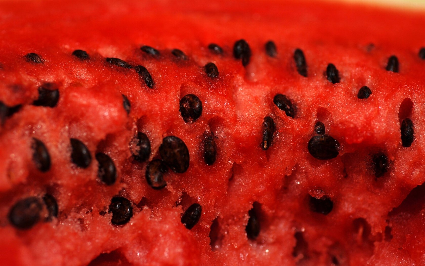 wassermelone fruchtfleisch knochen