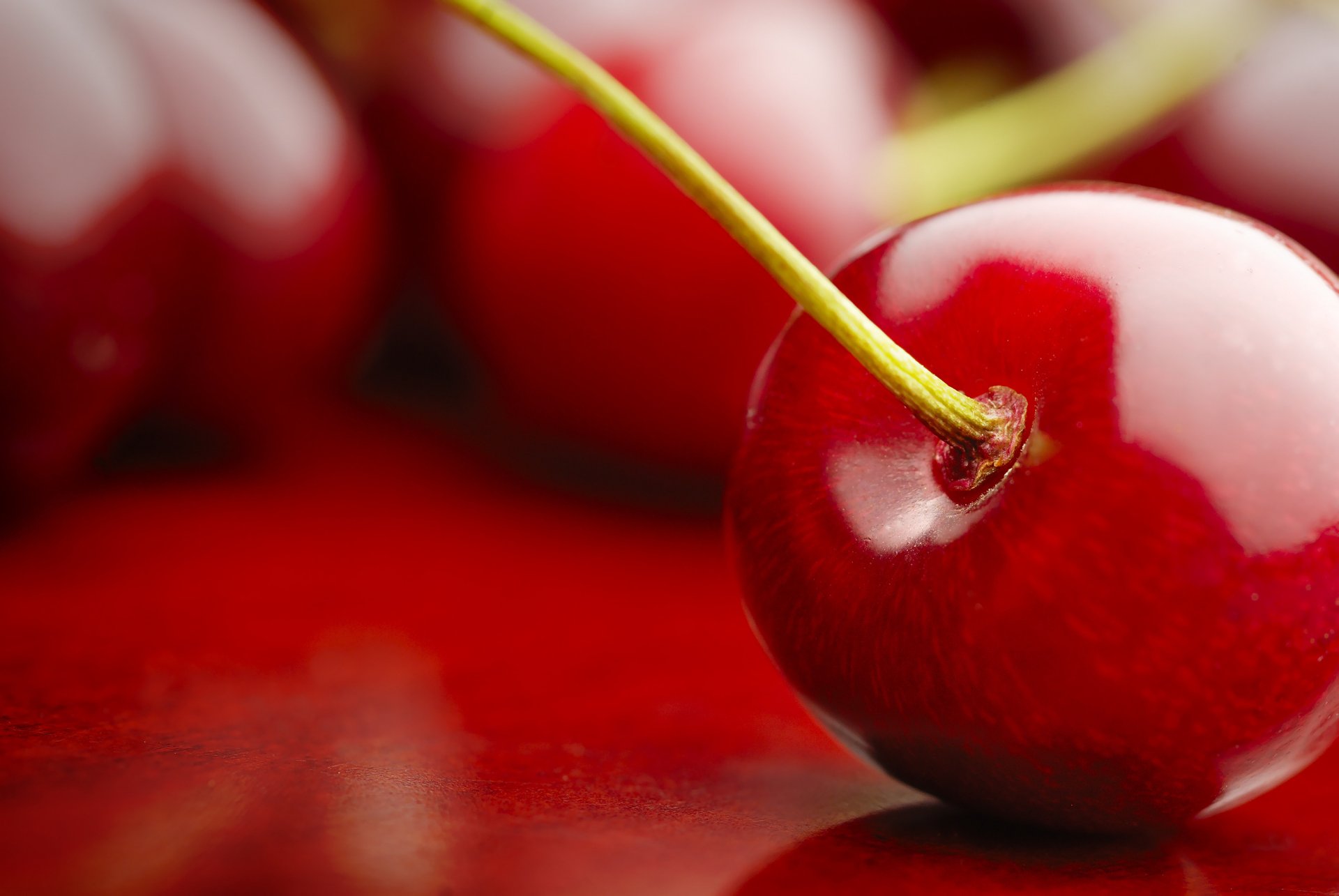 makro natur früchte kirsche kirschen rot früchte