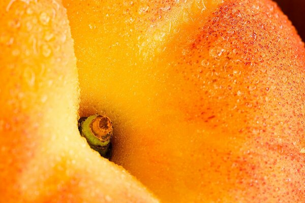 Drops on a ripe peach