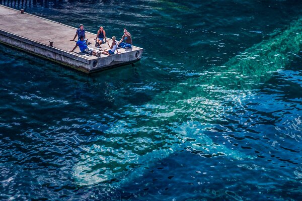 People on the pier saw a whale in the sea