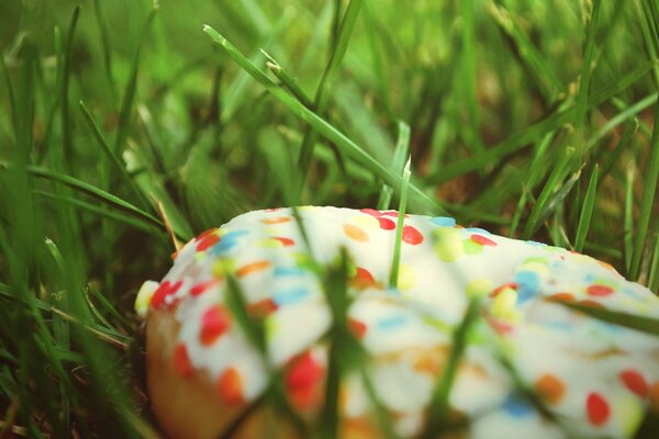 Un beignet échappé dans l herbe sur la pelouse