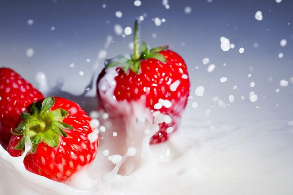 Éclaboussures de fraises dans la crème au ralenti