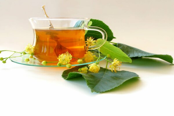 Tee ist eine Art Lindenbaum, mit Blumen- und Blattdekorationen