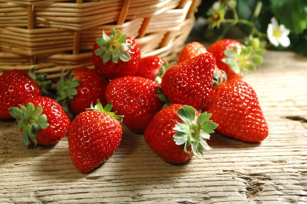 Strawberries near the basket wallpaper