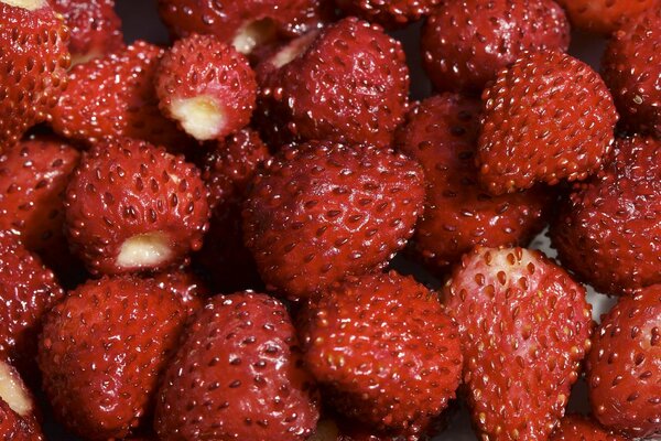 Reife Erdbeeren sind ein Vorrat an Vitaminen