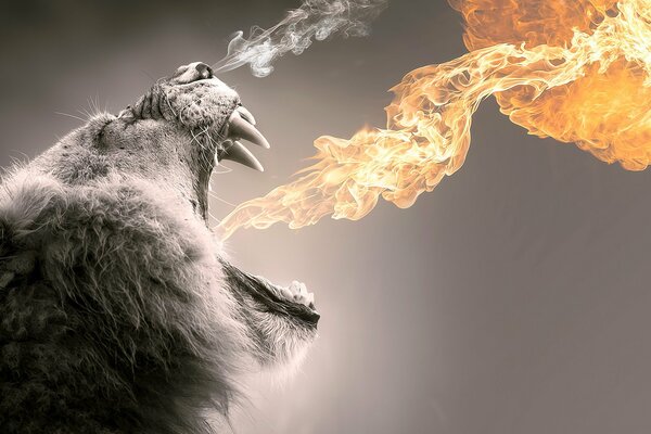 The lion releases the flame from its mouth