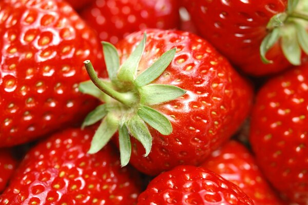 For jam, strawberries need to be sorted