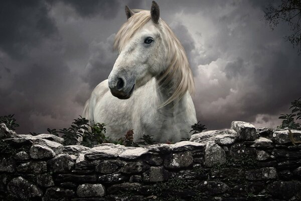 A beautiful horse with a white mane