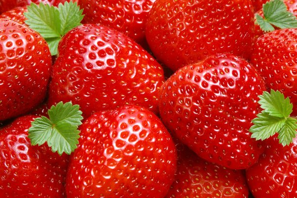 Red strawberry fruits on wallpaper