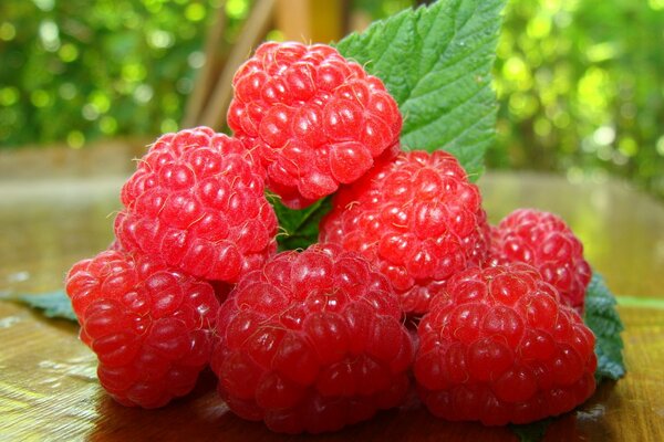 Macro raspberry with green leaves