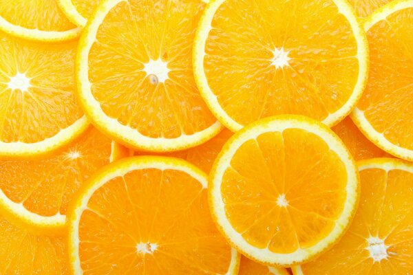 Cítricos, naranja acogedor. Naranjas cortadas en anillos