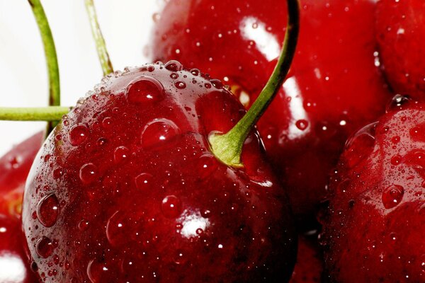 Water droplets on ripe cherries