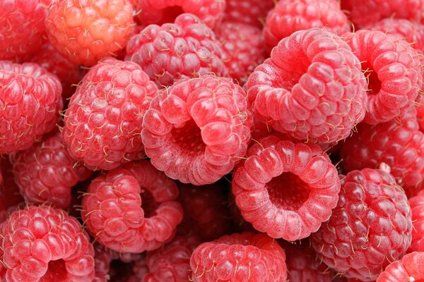 Lots of raspberries. Berry-raspberry