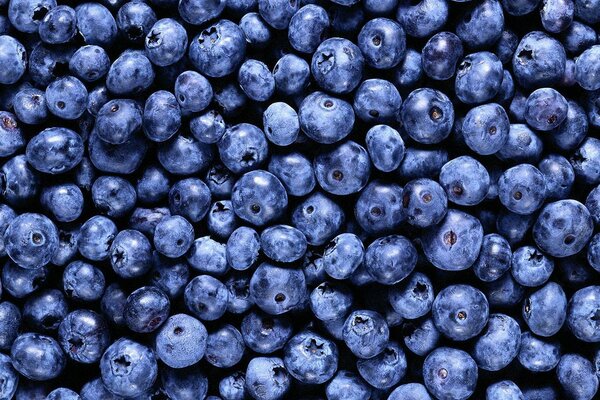 Vitamin-Hintergrund , blaue Blaubeeren