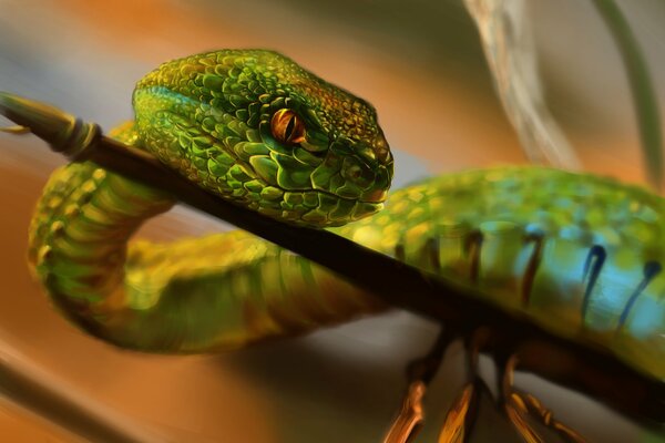 Una serpiente verde se arrastra sobre una rama