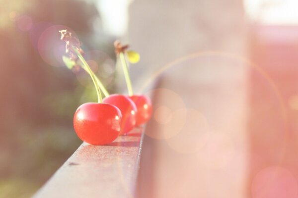 Cherries on the balcony under the bright light