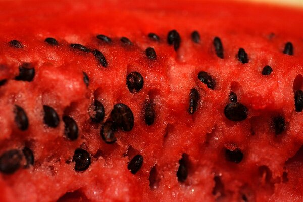 Red watermelon pulp with pits