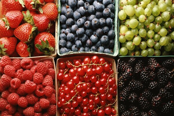 Surtido de bayas de frambuesas, fresas, arándanos, grosellas, grosellas y moras