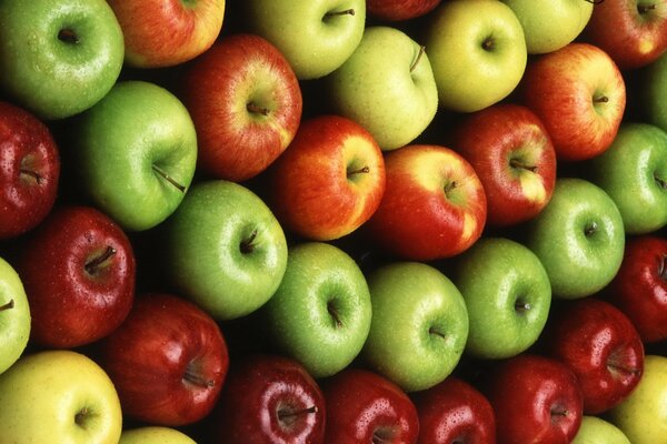 Las manzanas verdes y rojas se encuentran en filas