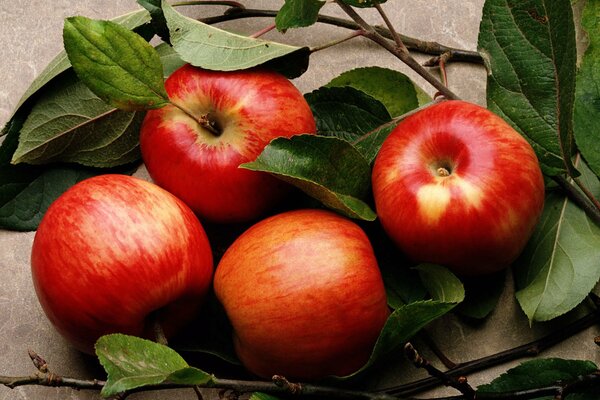 Rote Äpfel liegen auf dem Tisch