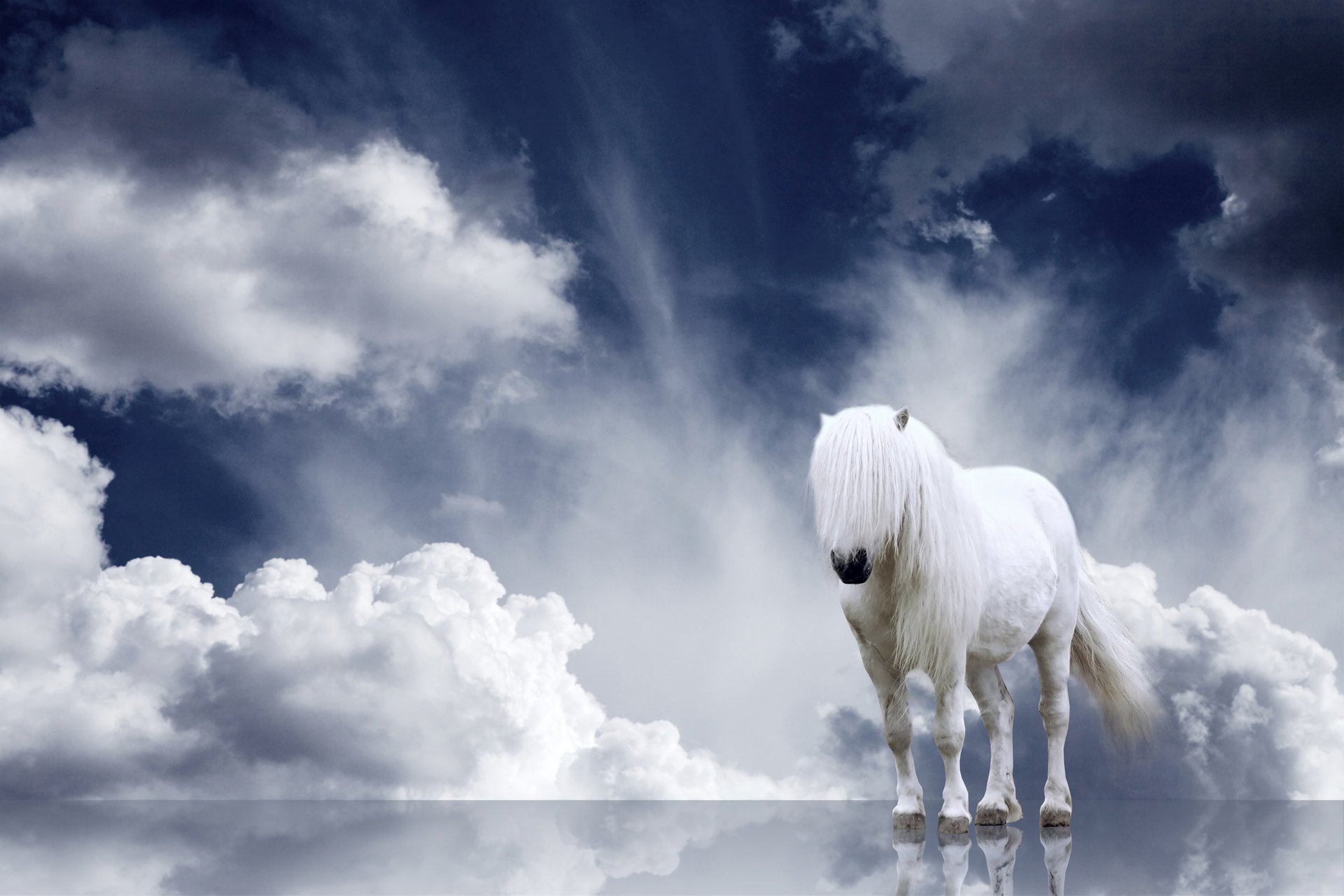 horse mane cloud