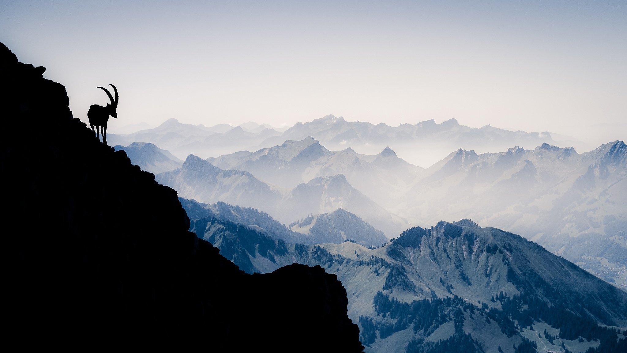 witzerland mountains alps mountain vanilla noir mountain goat silhouette