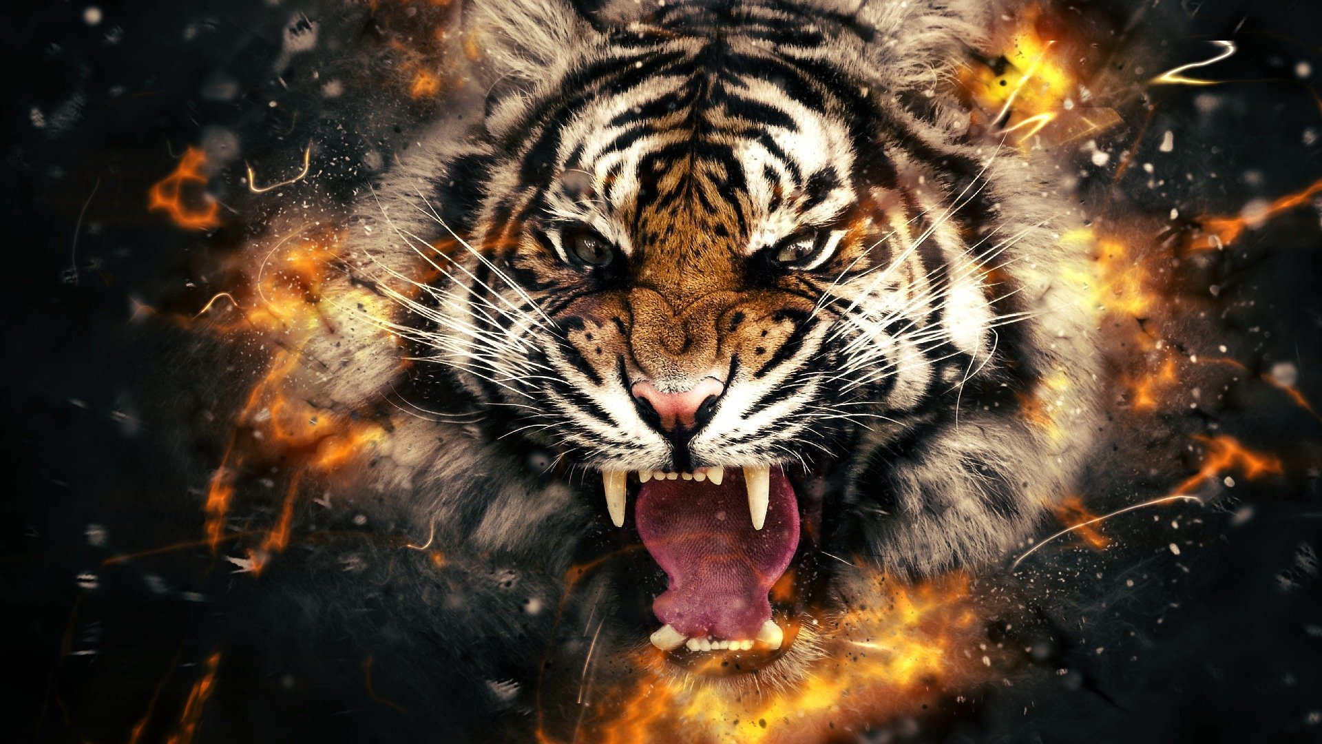 tigre cabeza fuego