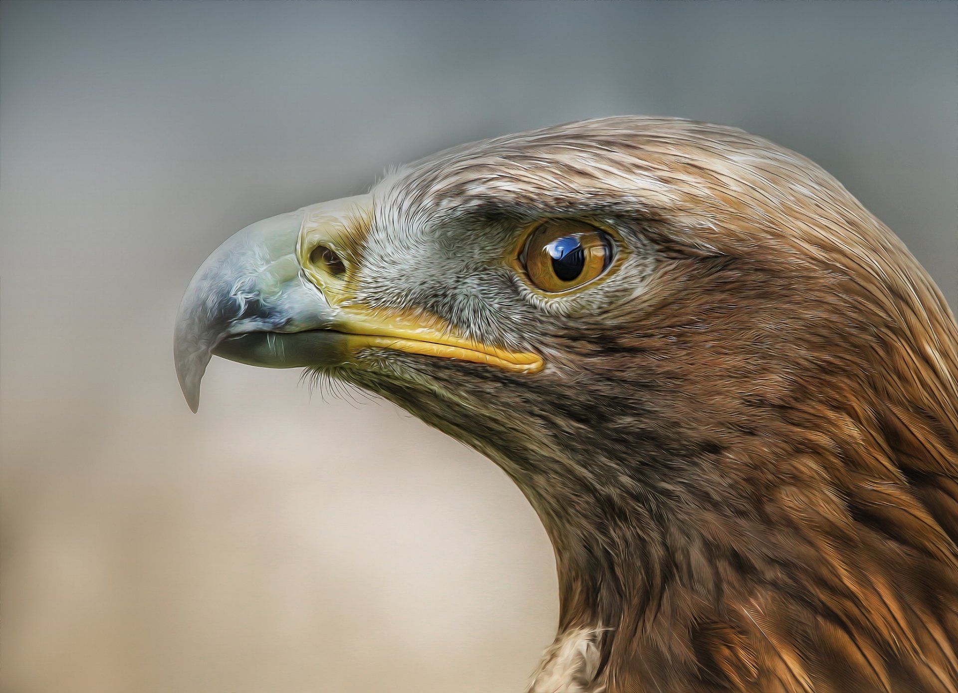 vogel raubtier profil detlef knapp