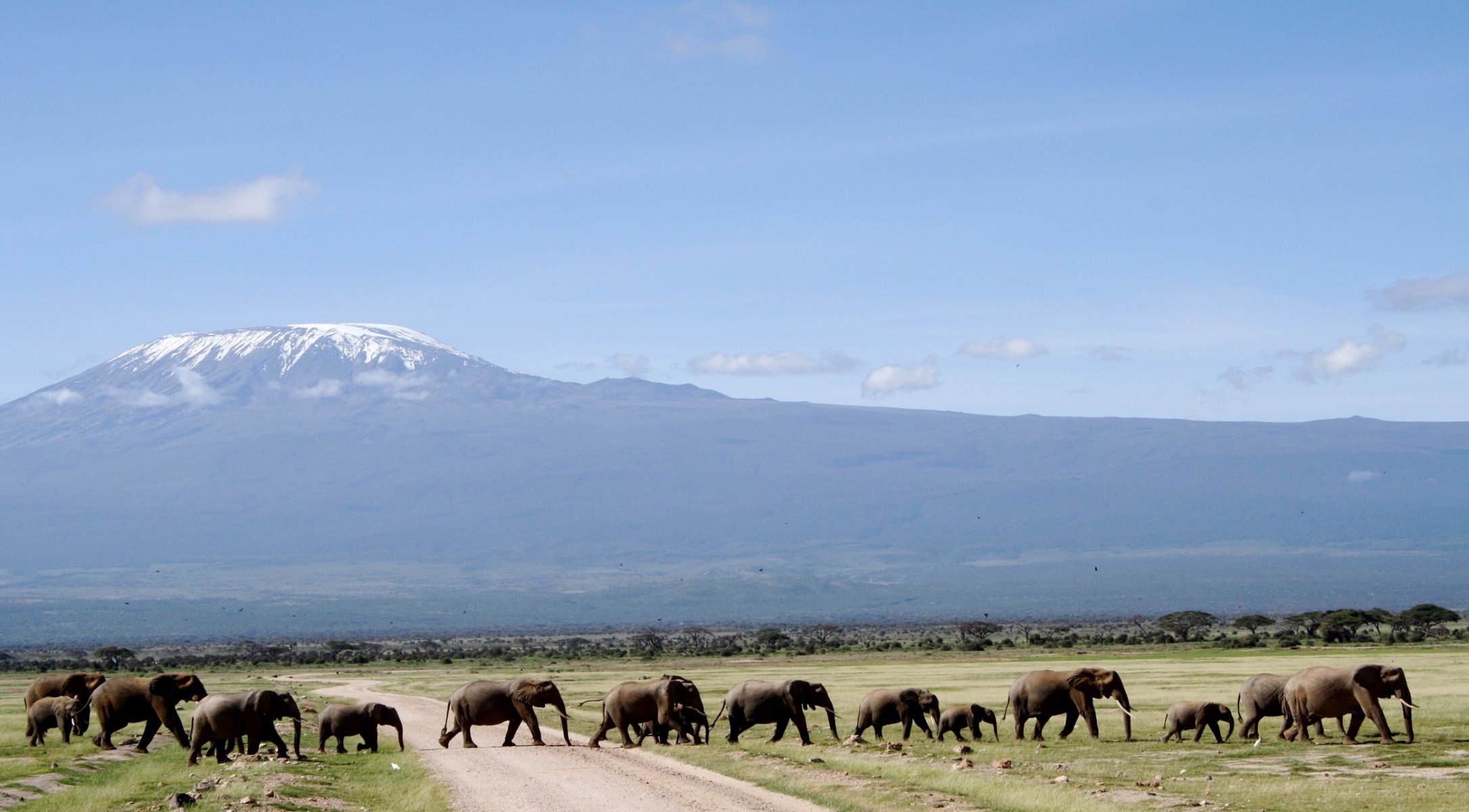 animaux éléphants route montagne ciel réserve naturelle